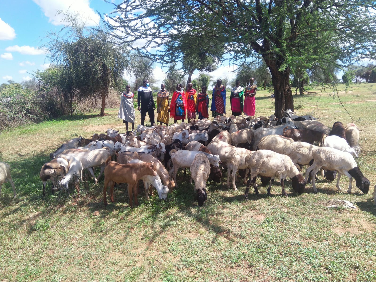 Livestock Market
